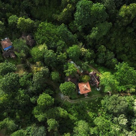 Mahout Resort Wayanad - An Experiential Jungle Stay With Waterfall Kalpatta Exterior foto