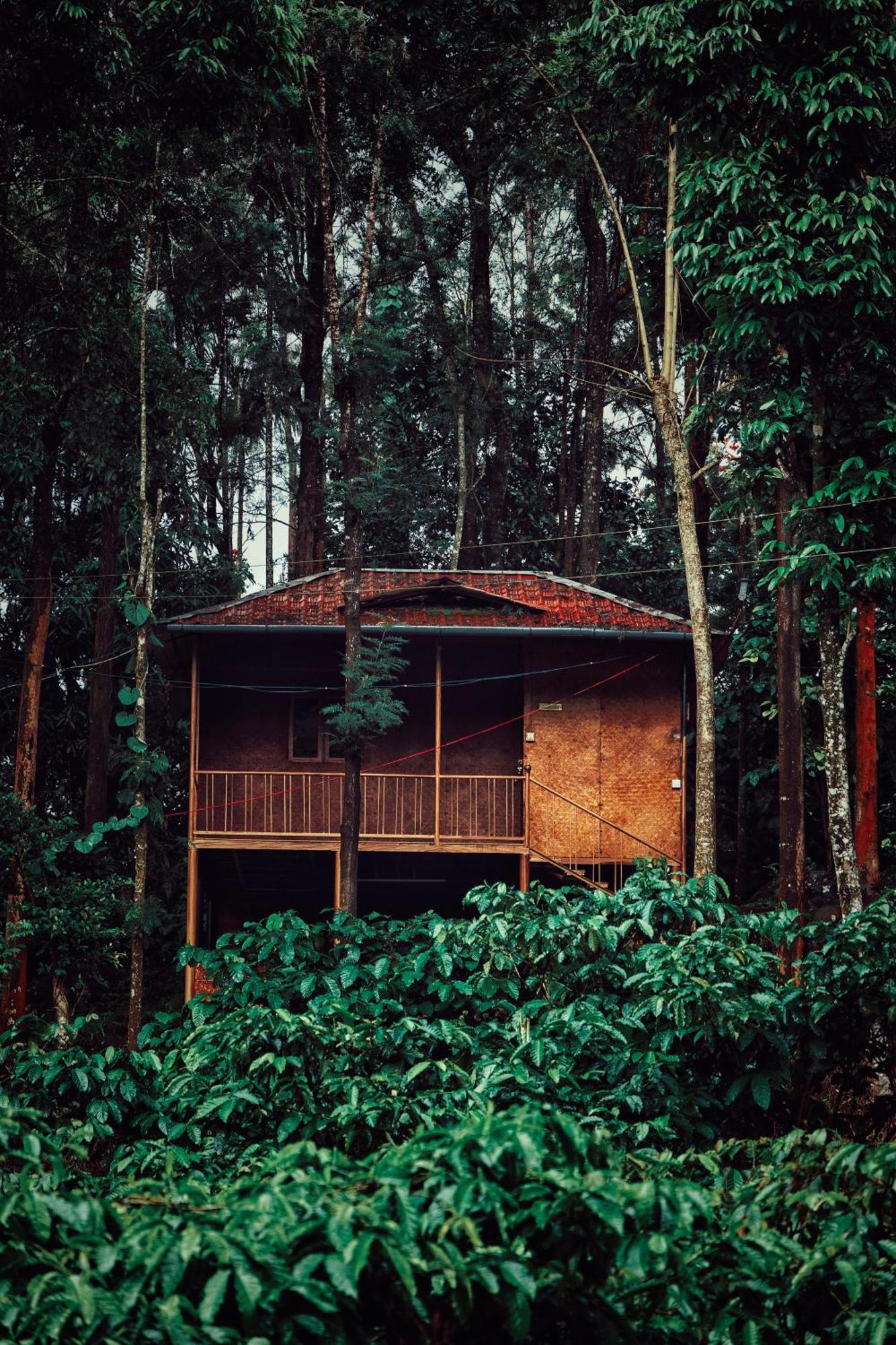 Mahout Resort Wayanad - An Experiential Jungle Stay With Waterfall Kalpatta Exterior foto
