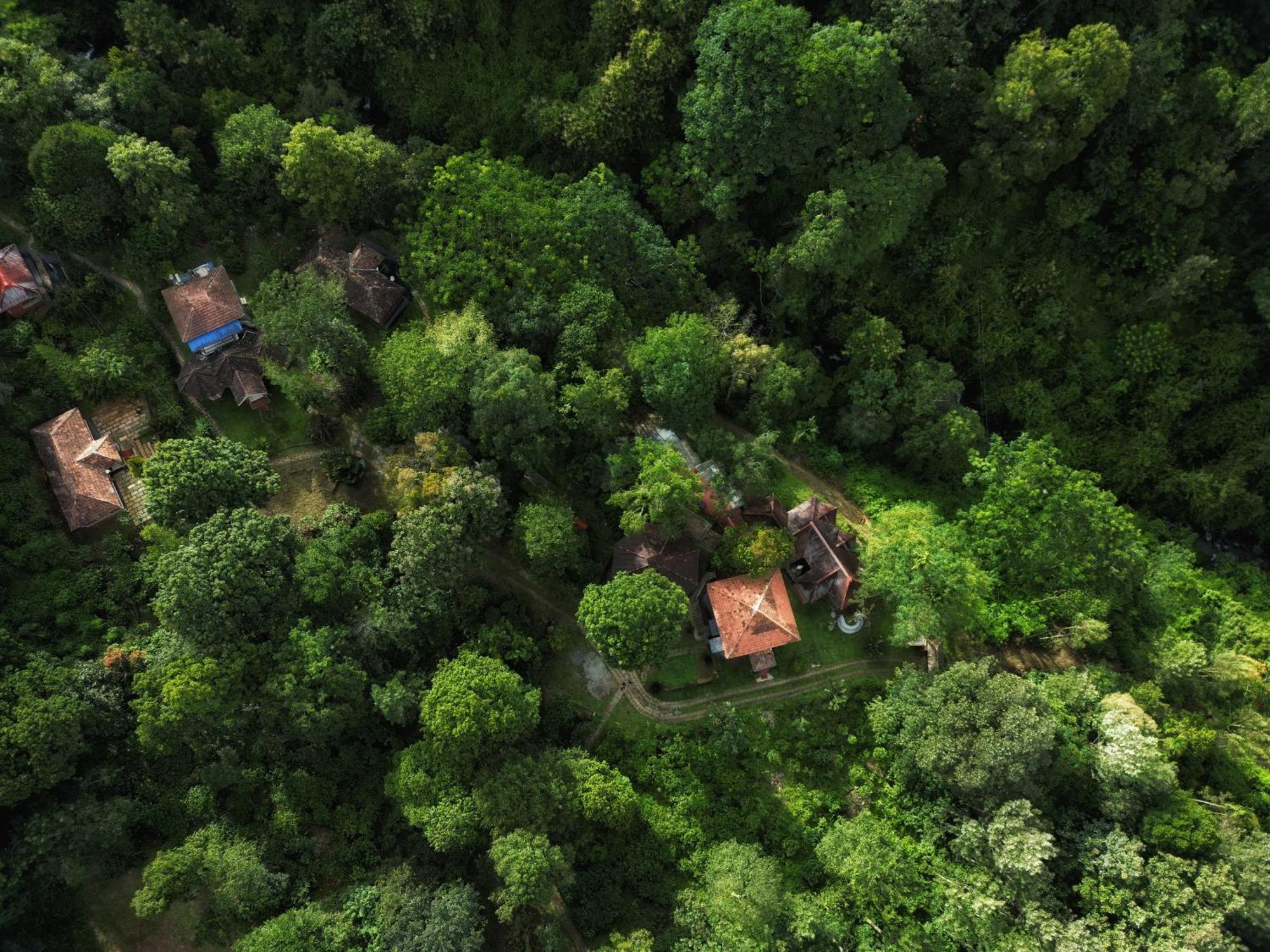 Mahout Resort Wayanad - An Experiential Jungle Stay With Waterfall Kalpatta Exterior foto