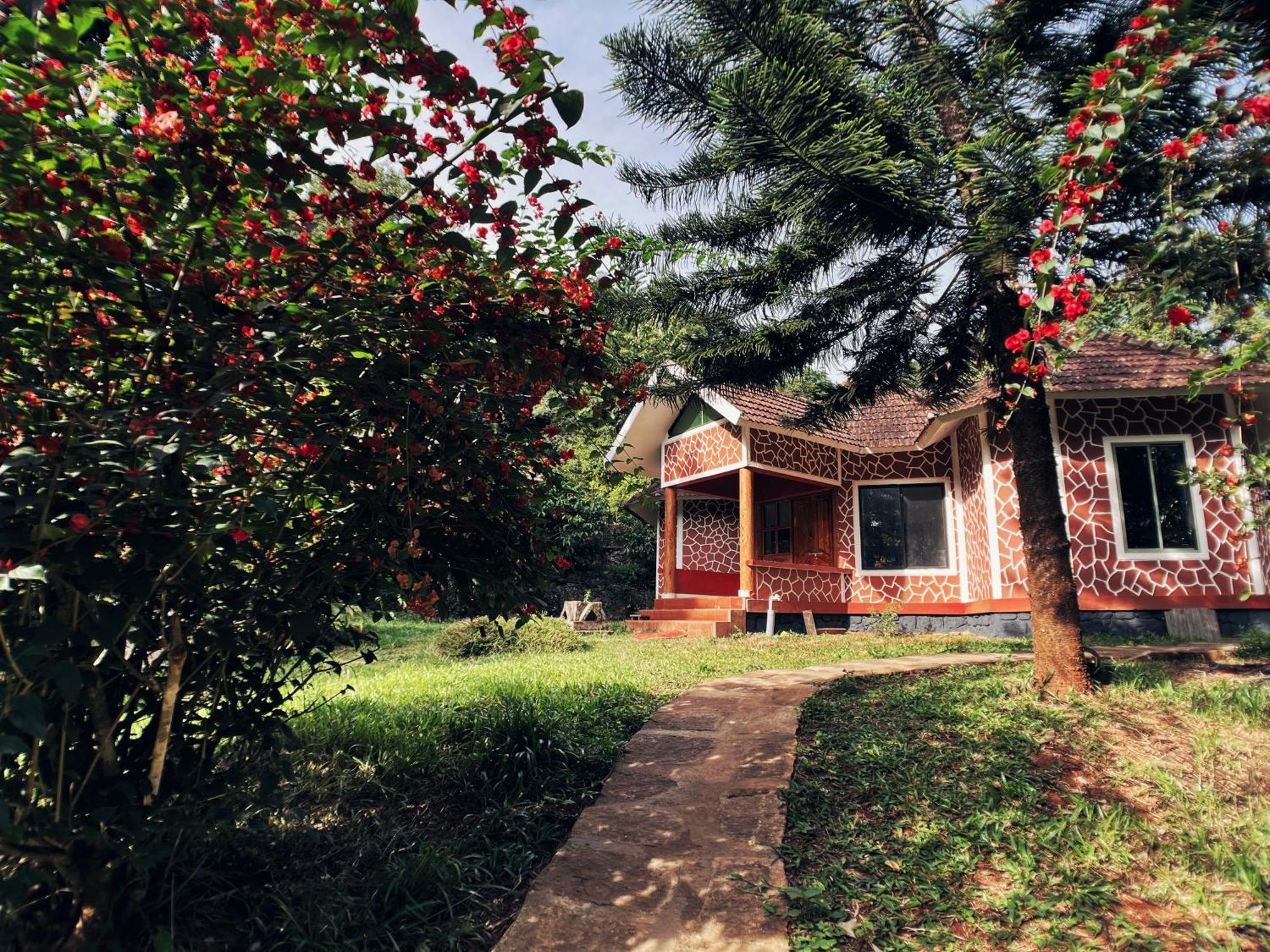 Mahout Resort Wayanad - An Experiential Jungle Stay With Waterfall Kalpatta Exterior foto