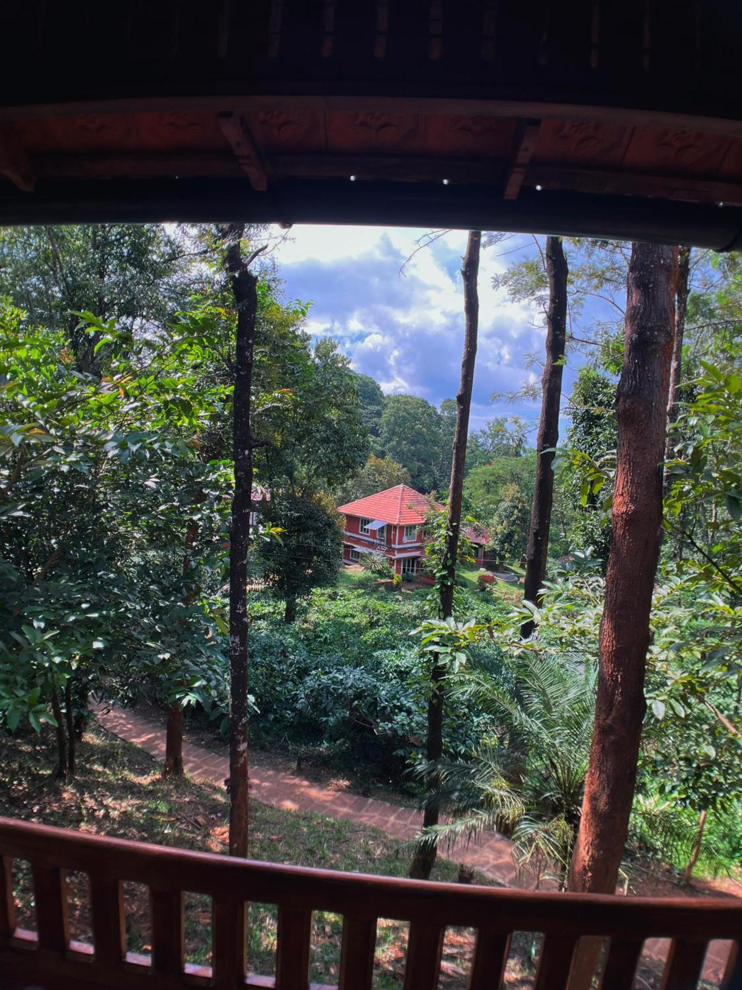 Mahout Resort Wayanad - An Experiential Jungle Stay With Waterfall Kalpatta Exterior foto
