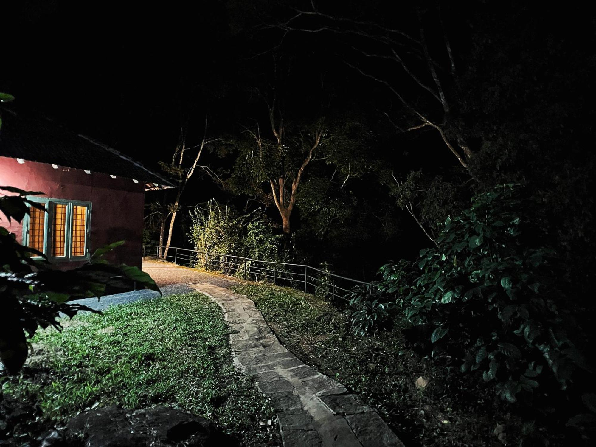 Mahout Resort Wayanad - An Experiential Jungle Stay With Waterfall Kalpatta Exterior foto