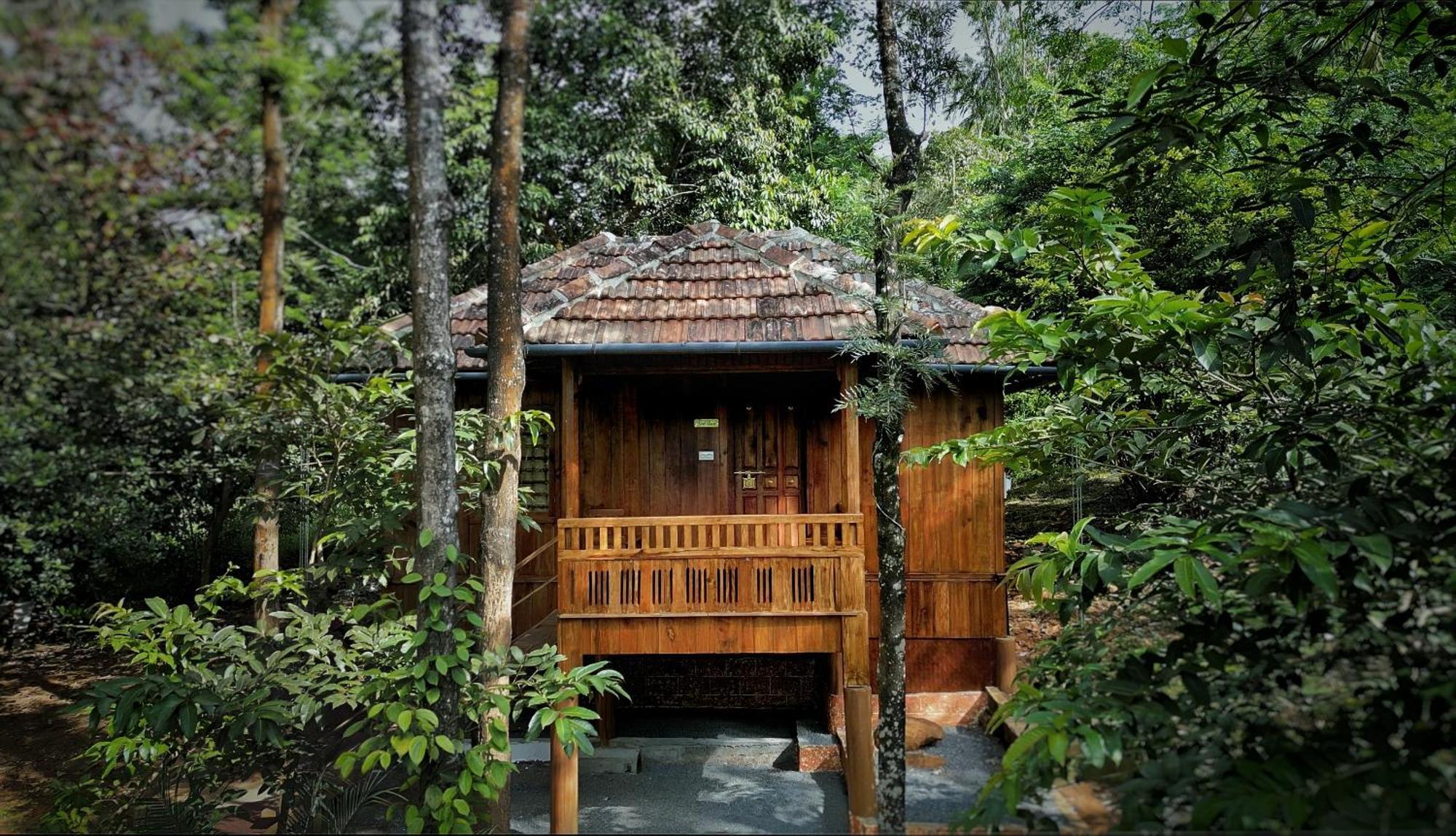 Mahout Resort Wayanad - An Experiential Jungle Stay With Waterfall Kalpatta Exterior foto